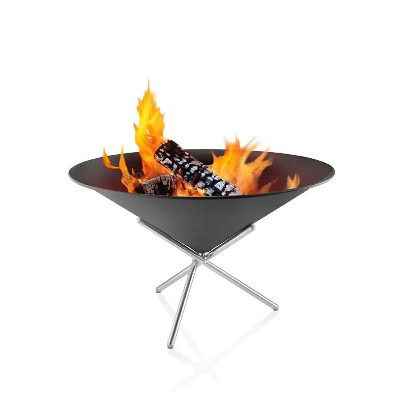 firecone-with-burning-wood